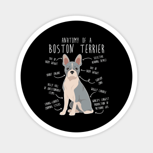 Blue Boston Terrier Dog Anatomy Magnet